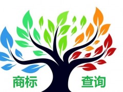 如何應(yīng)對(duì)商標(biāo)查詢盲期？
